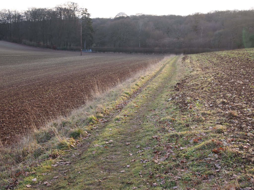 Footpath near Harewood Forest