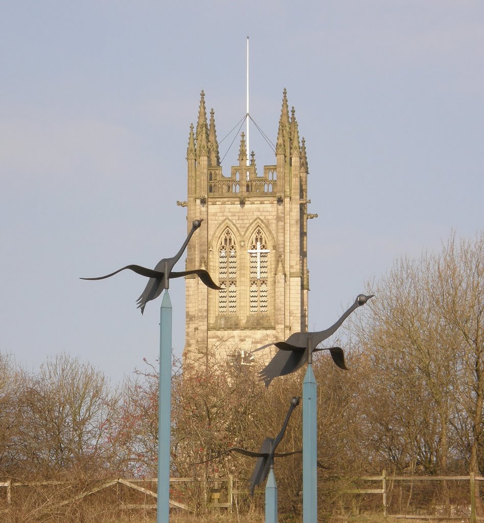 3 Black Swans and Church