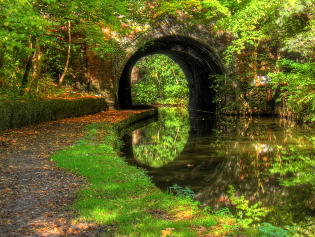 Guide Bridge Bridge!