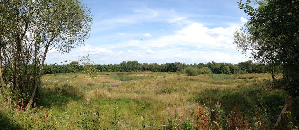 View from hide