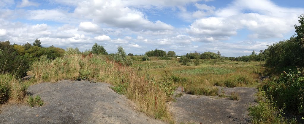 Three Sisters wetlands area