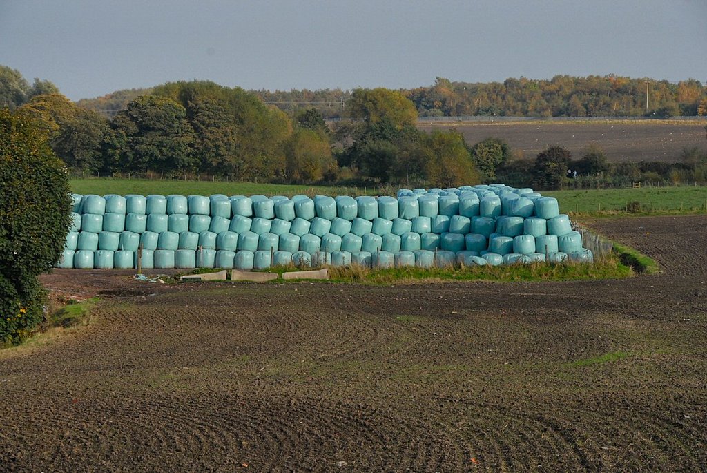 Hay bales