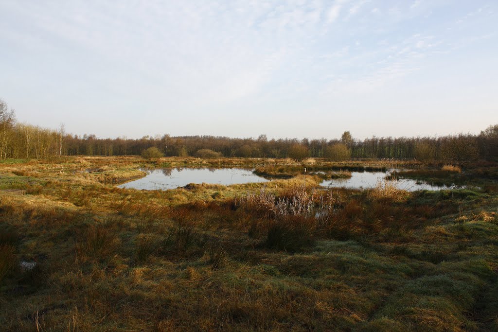 Wet Lands
