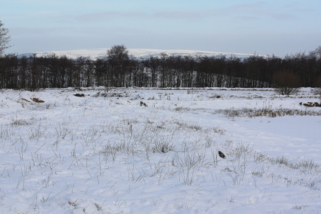 Wet Lands in Snow
