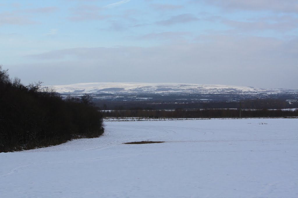 Snow on Rivington