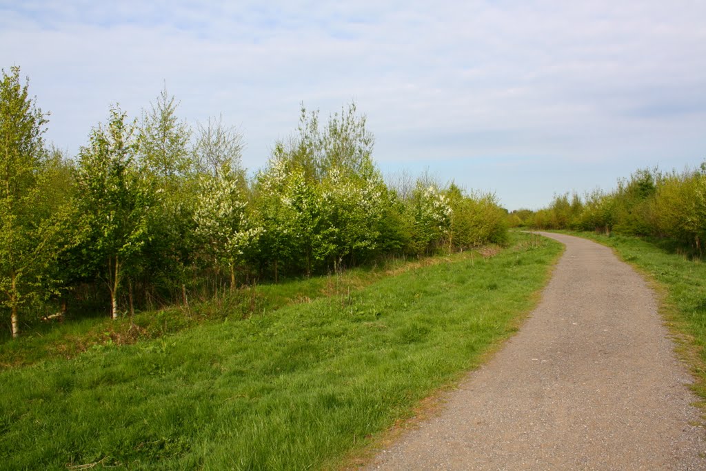 Pathway to 3 Sisters
