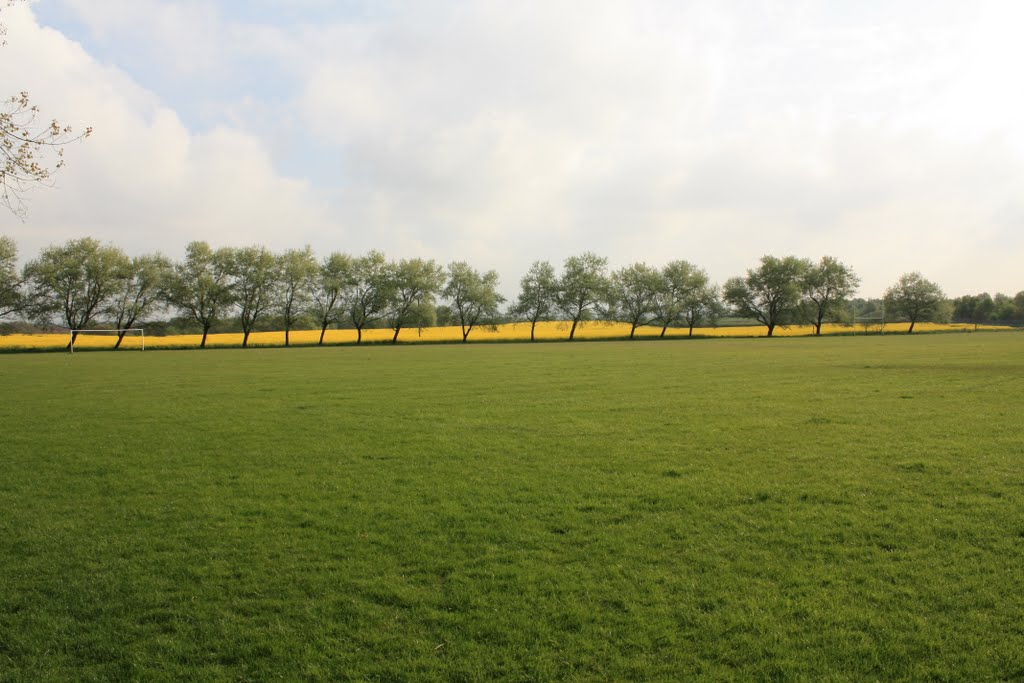 Playing Fields, Bryn