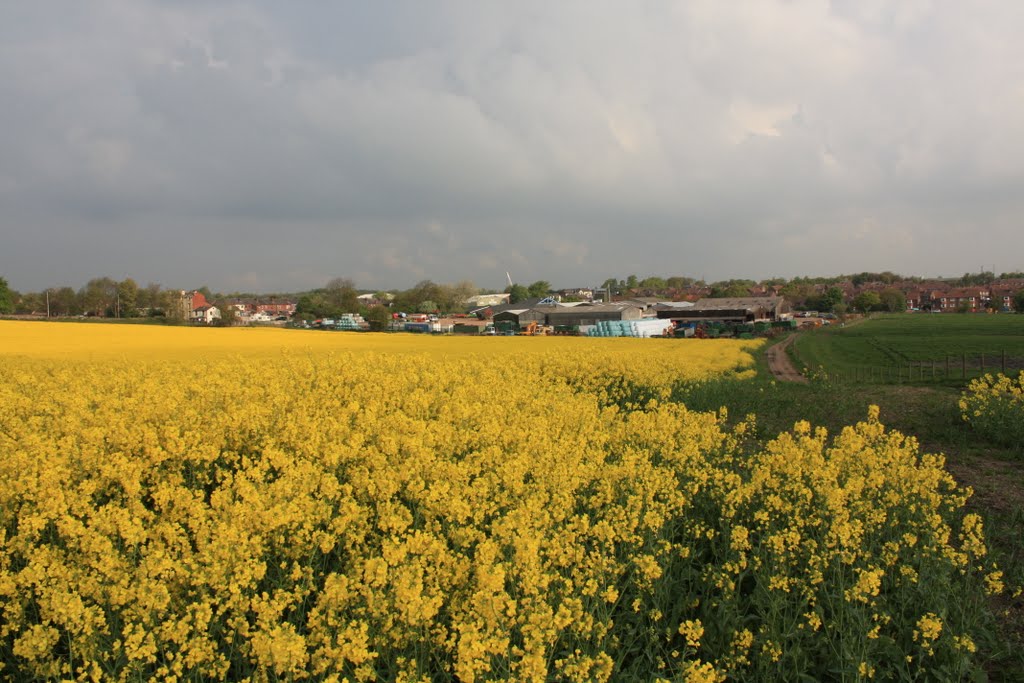 Landgate Farm