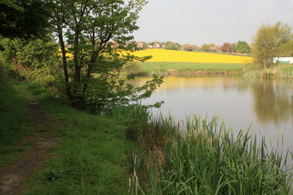 Garswood Hall Fishing Lakes ,Landgate .