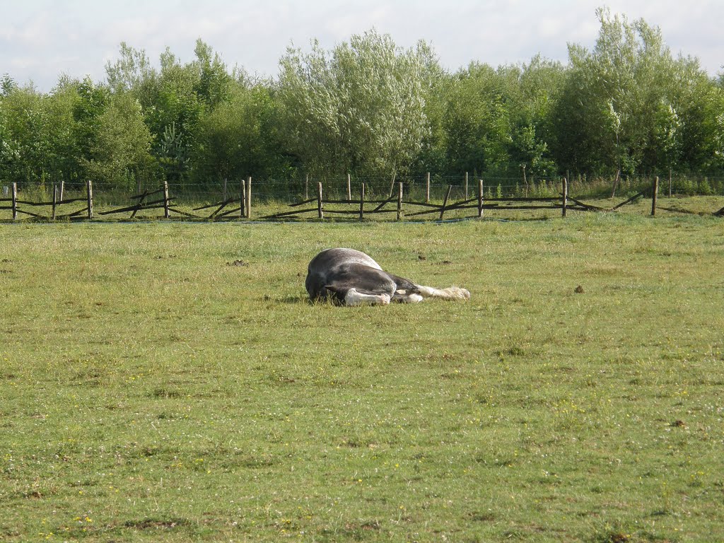 Flat Out