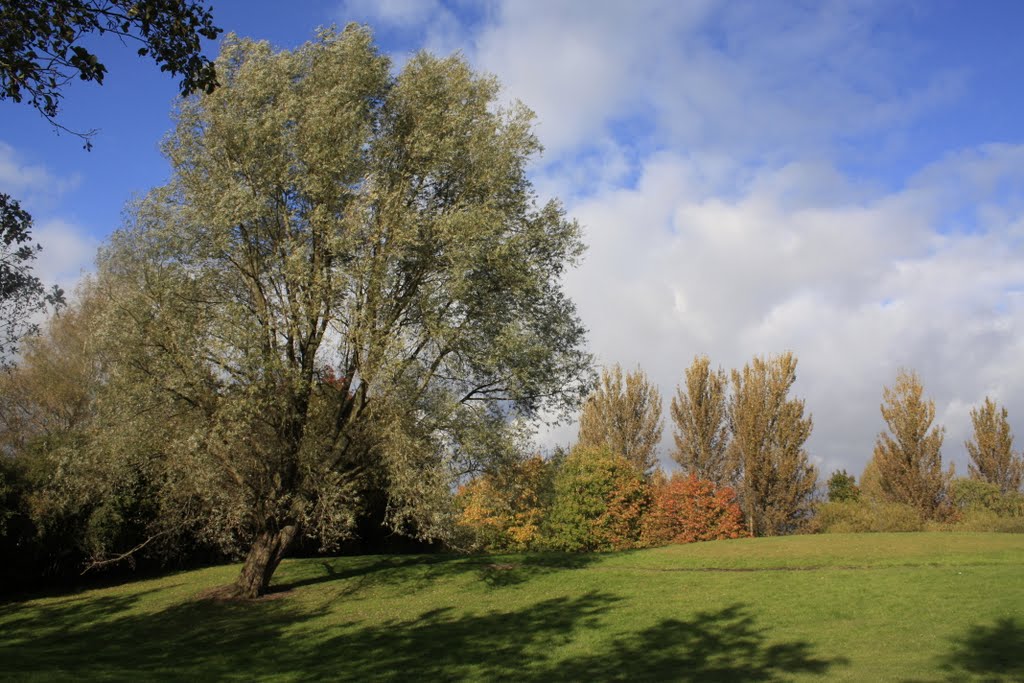 Blue Sky October