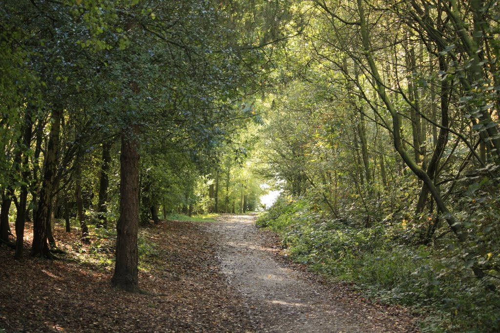 Kestral Path 3 Sisters