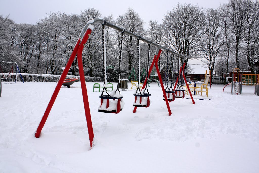 Swings in Snow