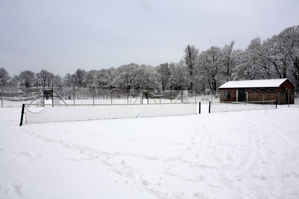 No Tennis Today