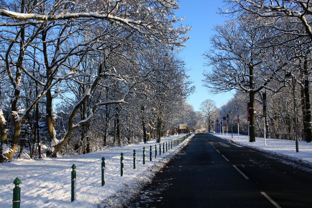 Haydock Park Racecourse ,Main Road
