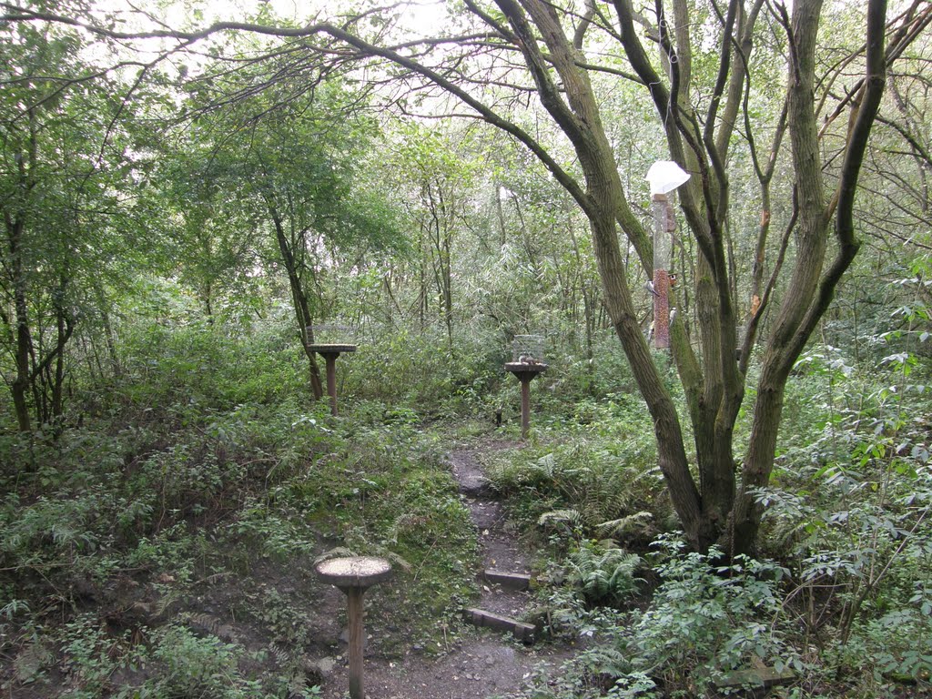 Bird Feeding Station , 3 Sisters Nature Park