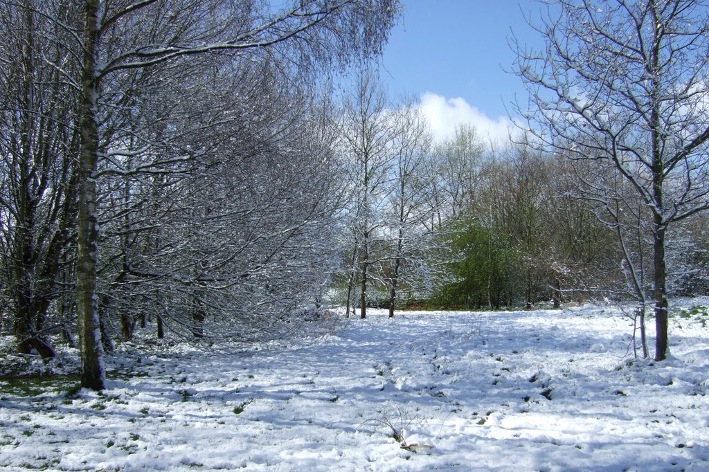 SPICEBALL PARK, BANBURY