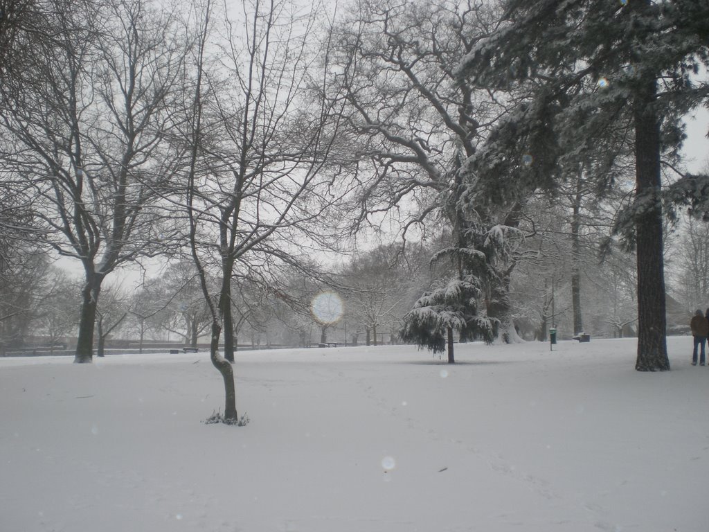 Peoples Park
