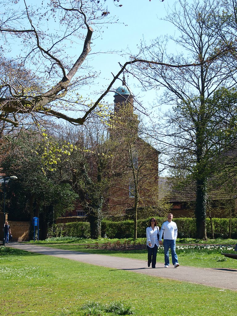 St Marys Church tower from the Peoples Park in the spring.