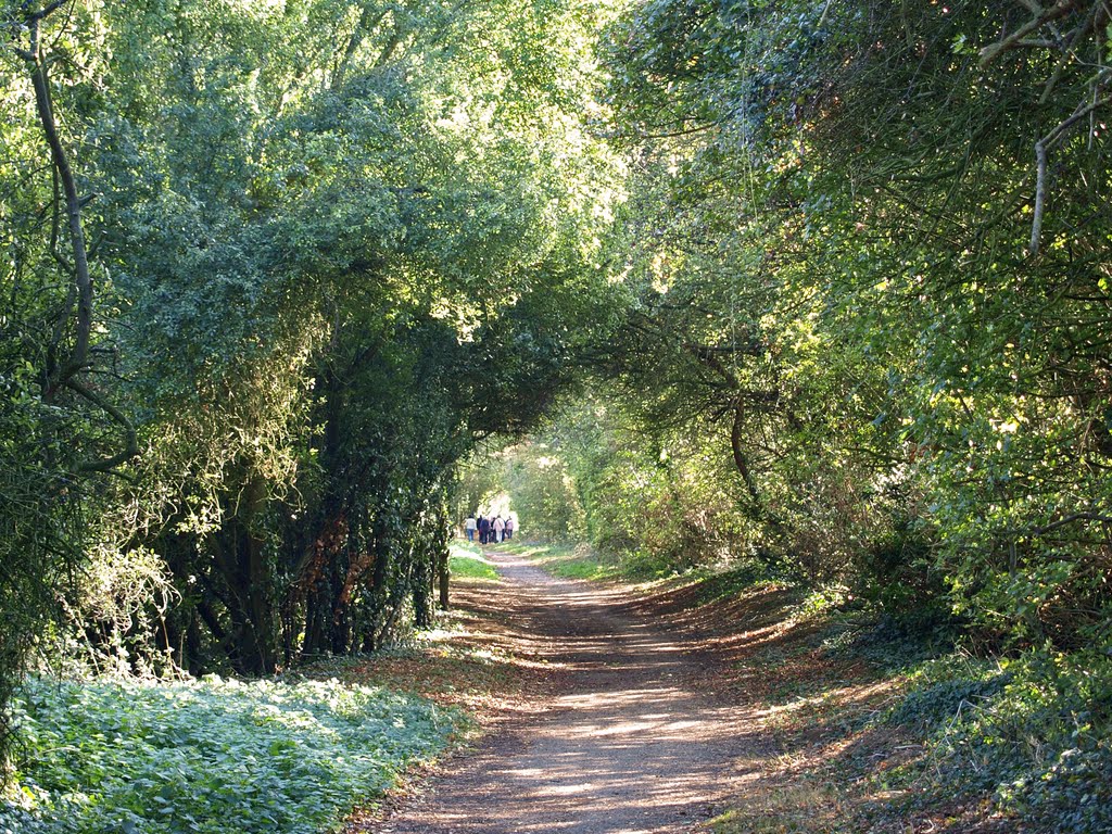 The medieval Salt way winding from Droitwich to London and forming a popular path south of Banbury.