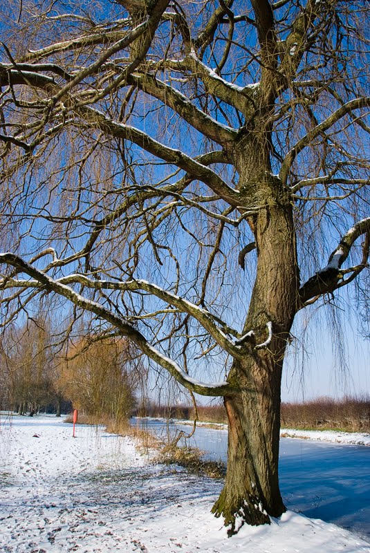 Bankside - Banbury