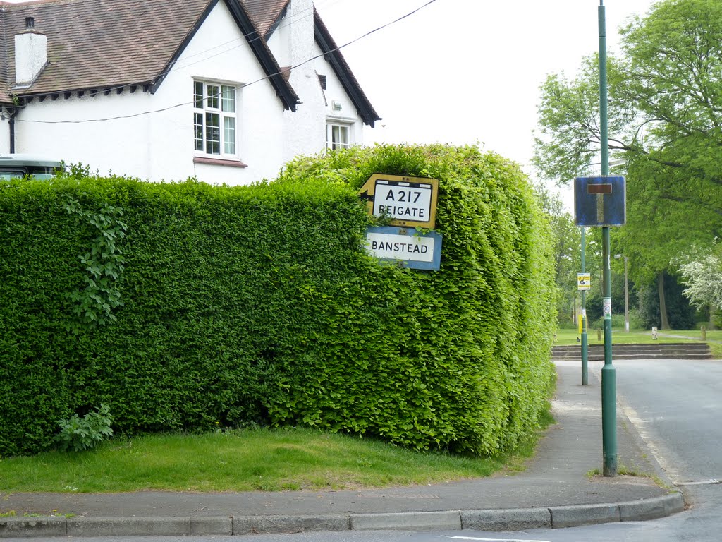 Old Banstead Road