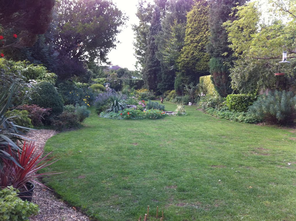 My Mums beautiful garden