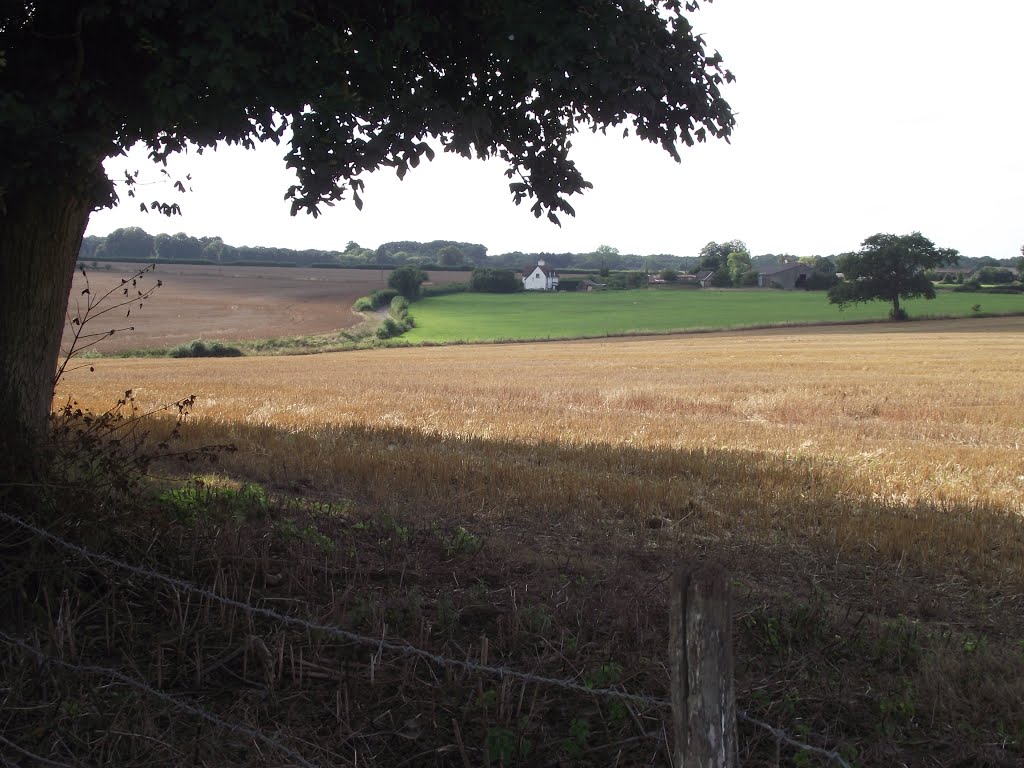 Banstead Downs