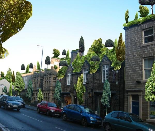 Barnsley in bloom 2020