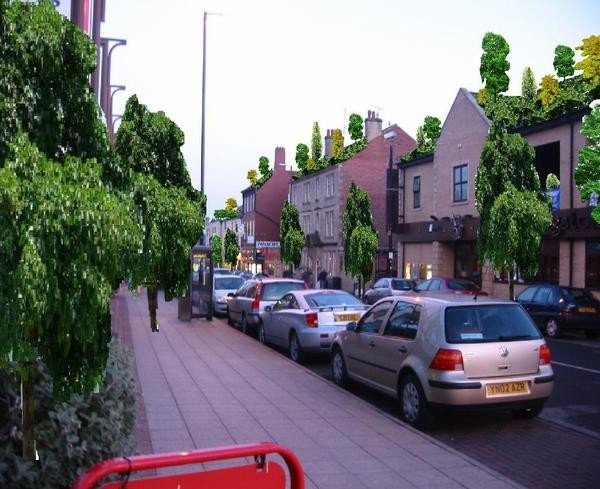 Barnsley in bloom 2020