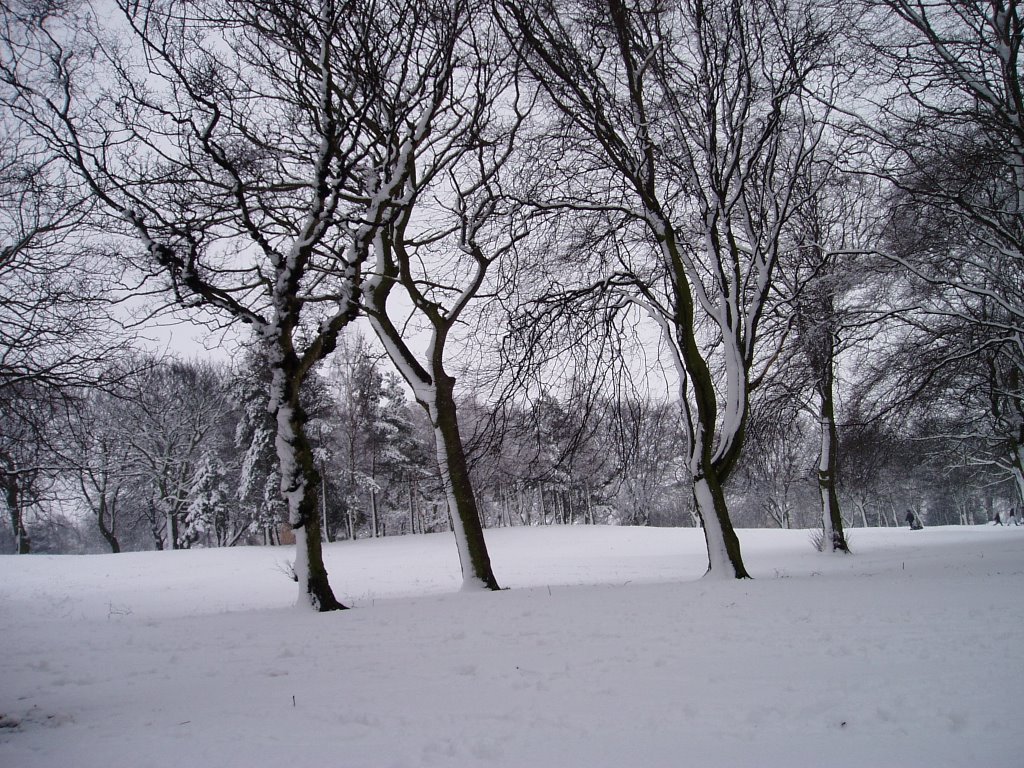 mw25 Locke Park, Barnsley in winter