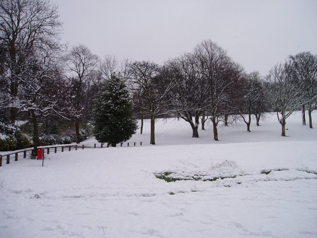 mw30 Locke Park in Winter