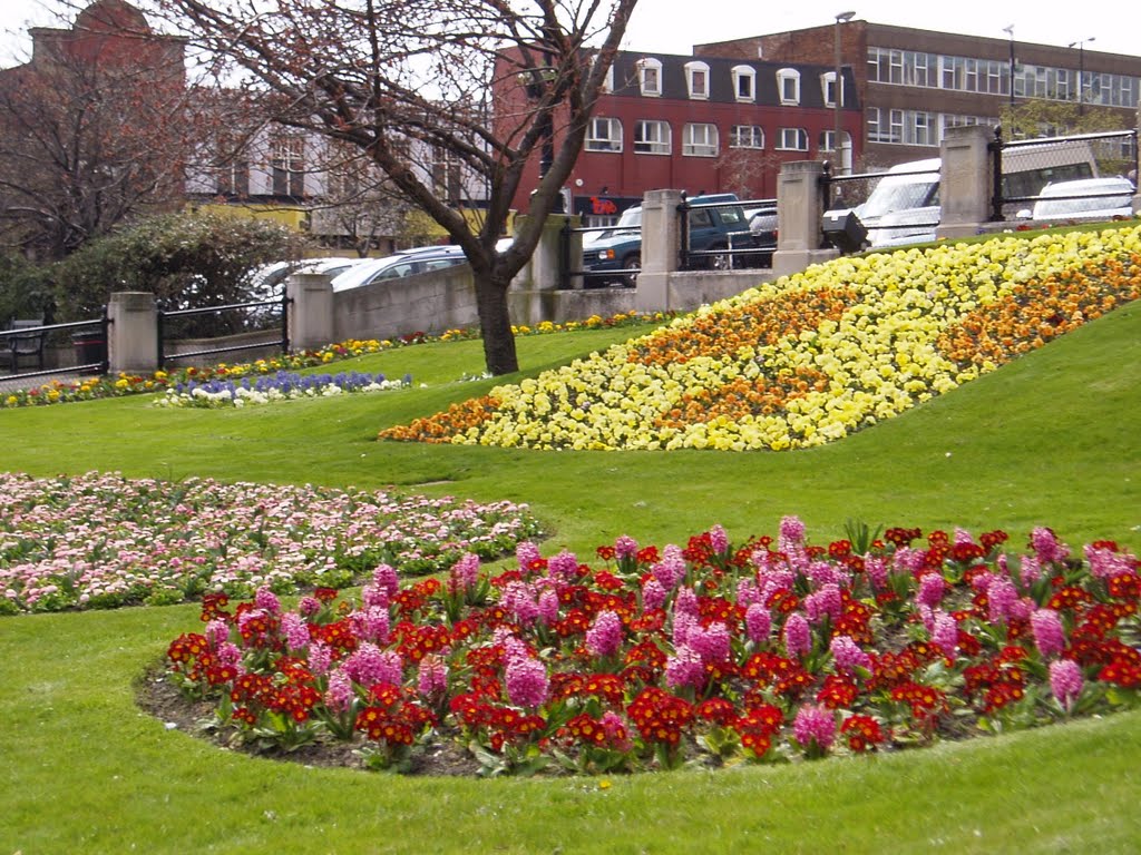 Barnsley Town Hall Gardens