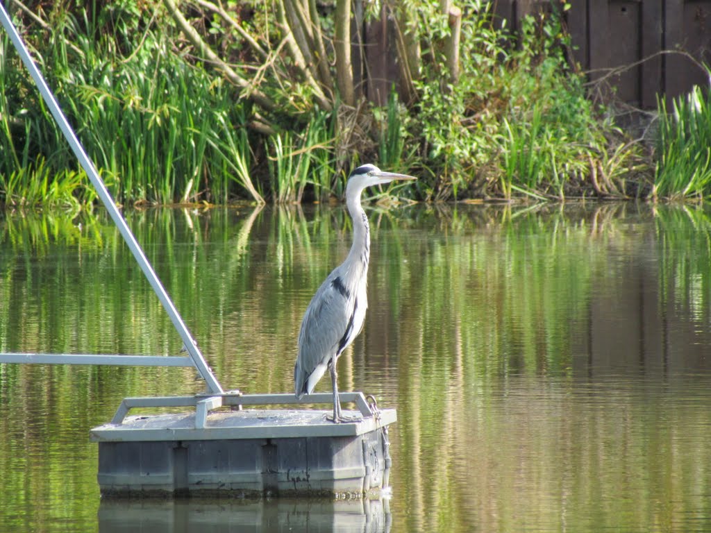 Fleets Dam Barnsley