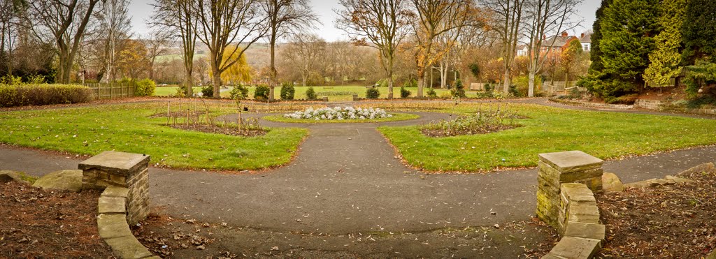 Autumn in the park