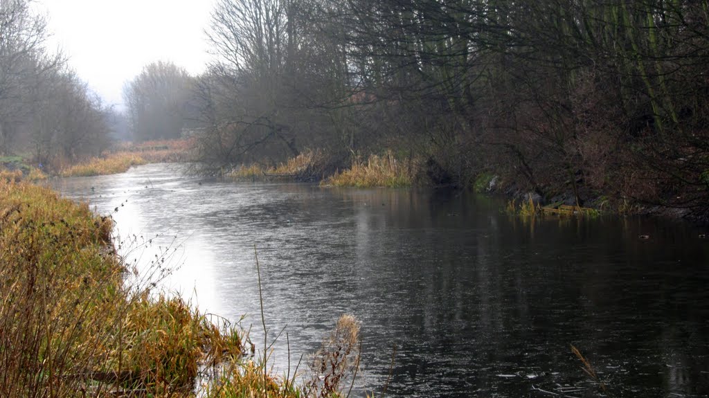 Barnsley Canal