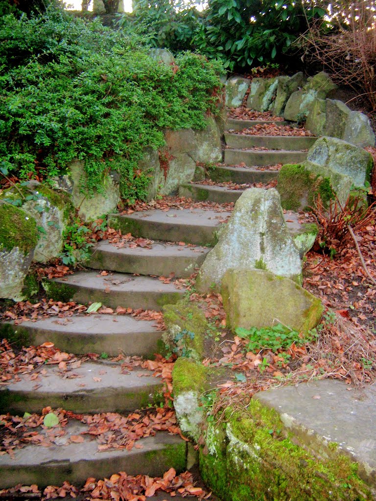 Locke Park Steps