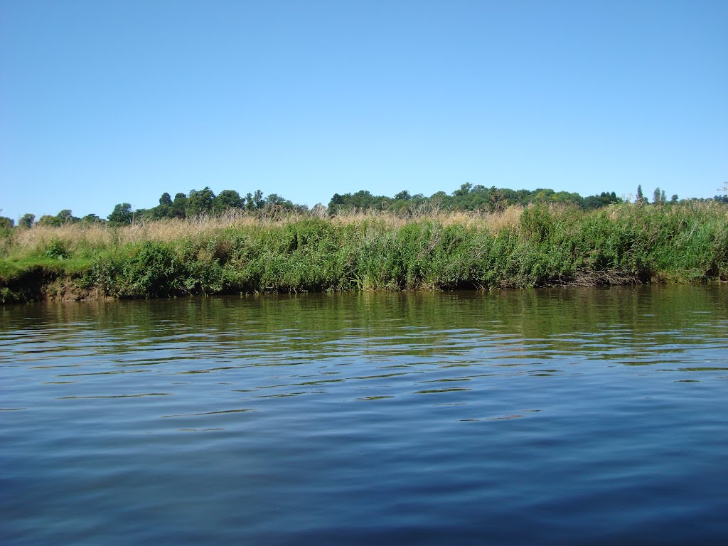 bank of the River Avon
