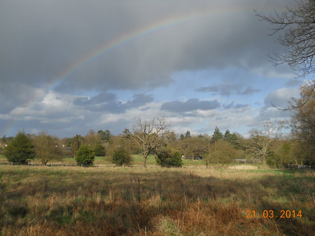 rainbow