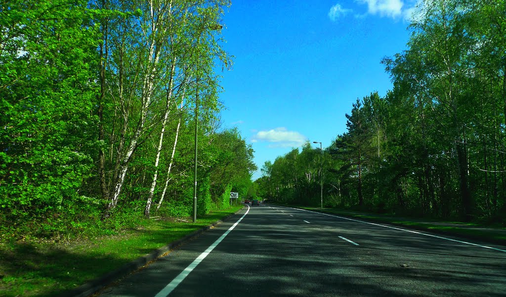 Hermitage Road