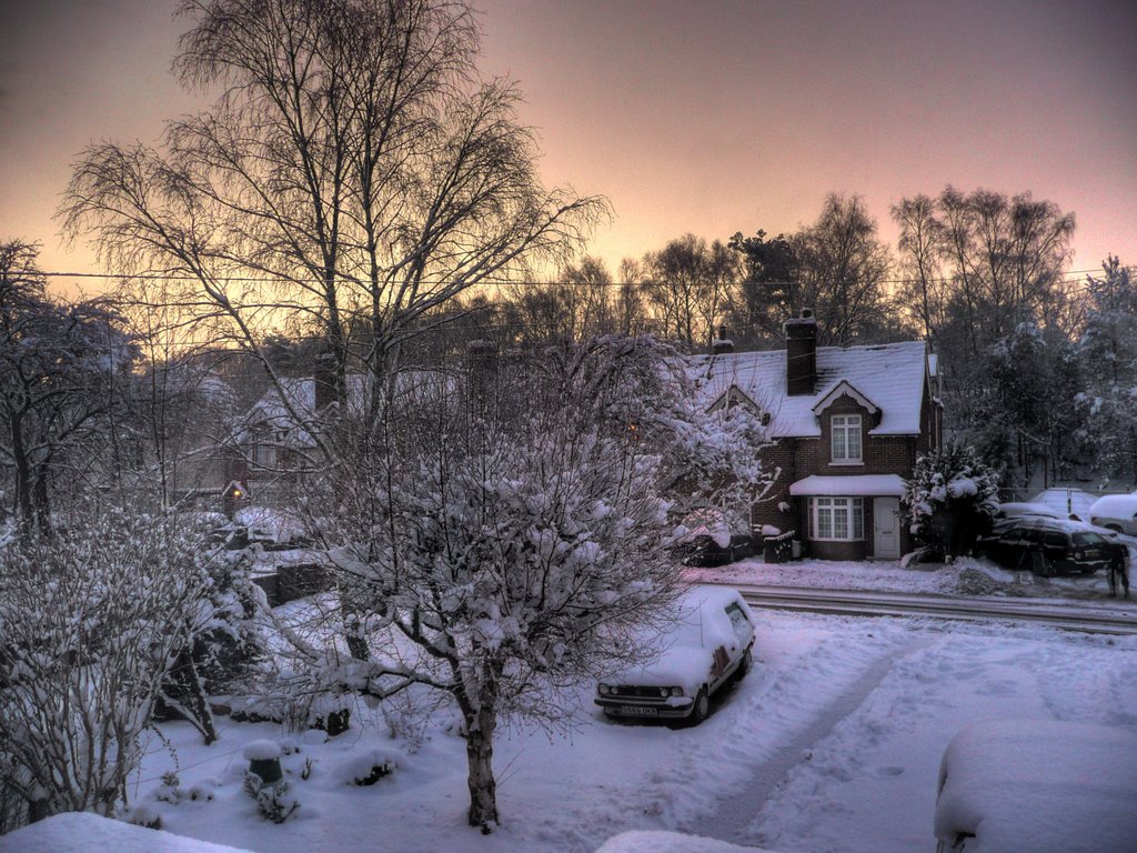 Snowy sunrise over Brookwood (Feb 2009)