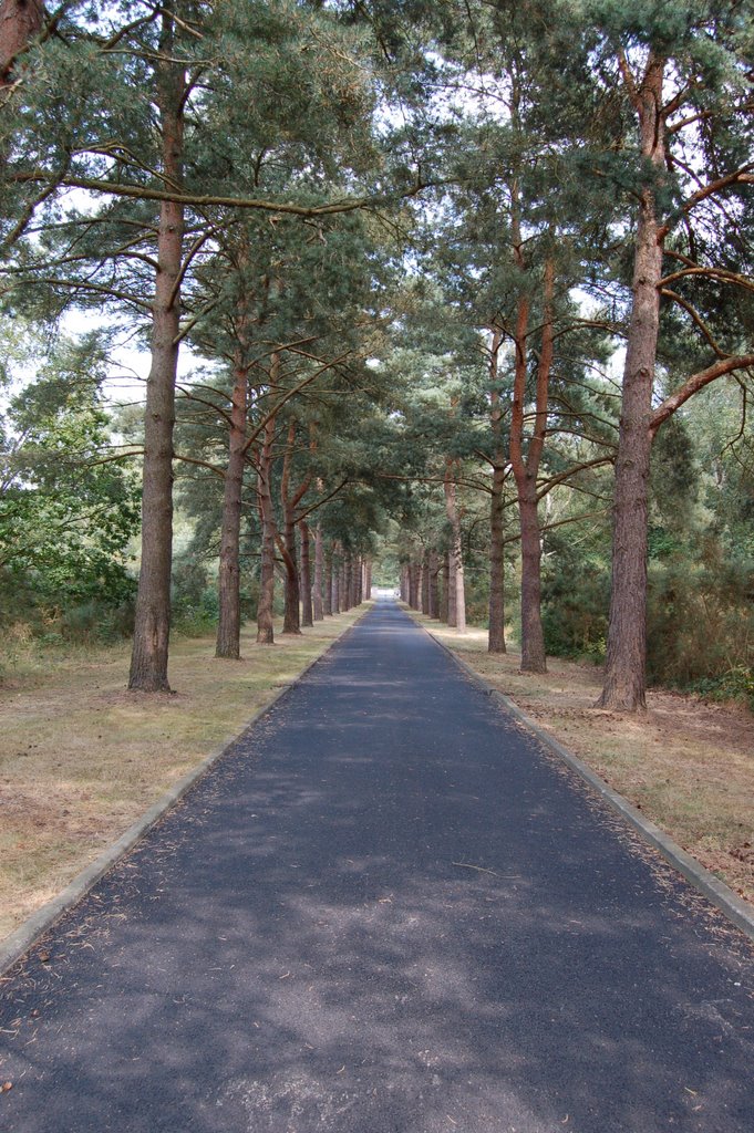 Brookwood War Cemetery entrance