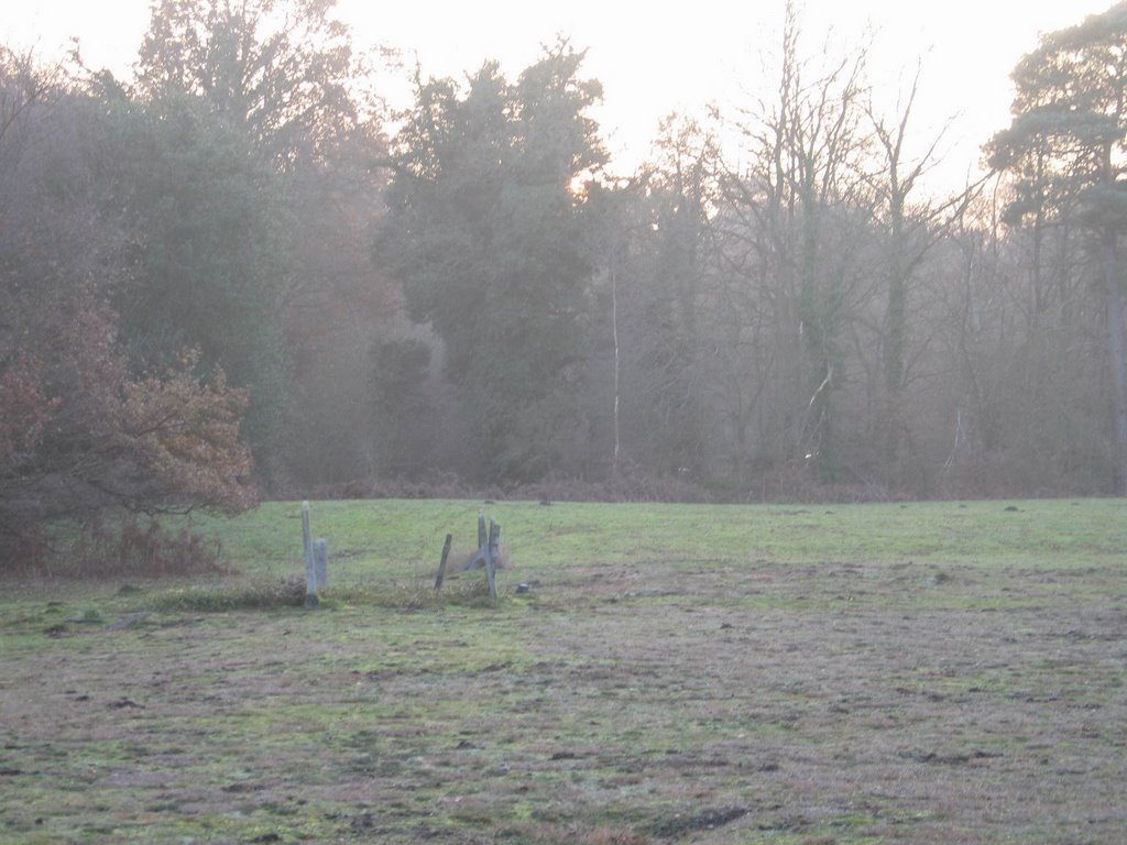 Brookwood