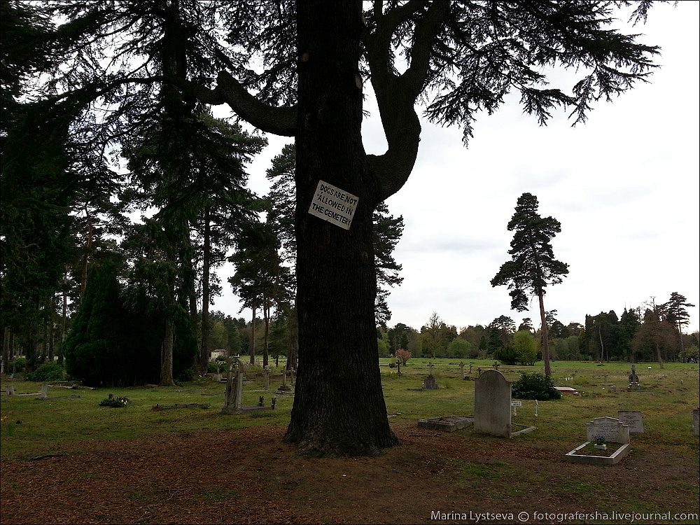 Brookwood cemetery