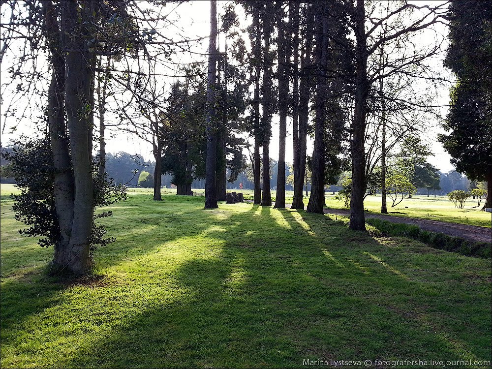 Brookwood cemetery