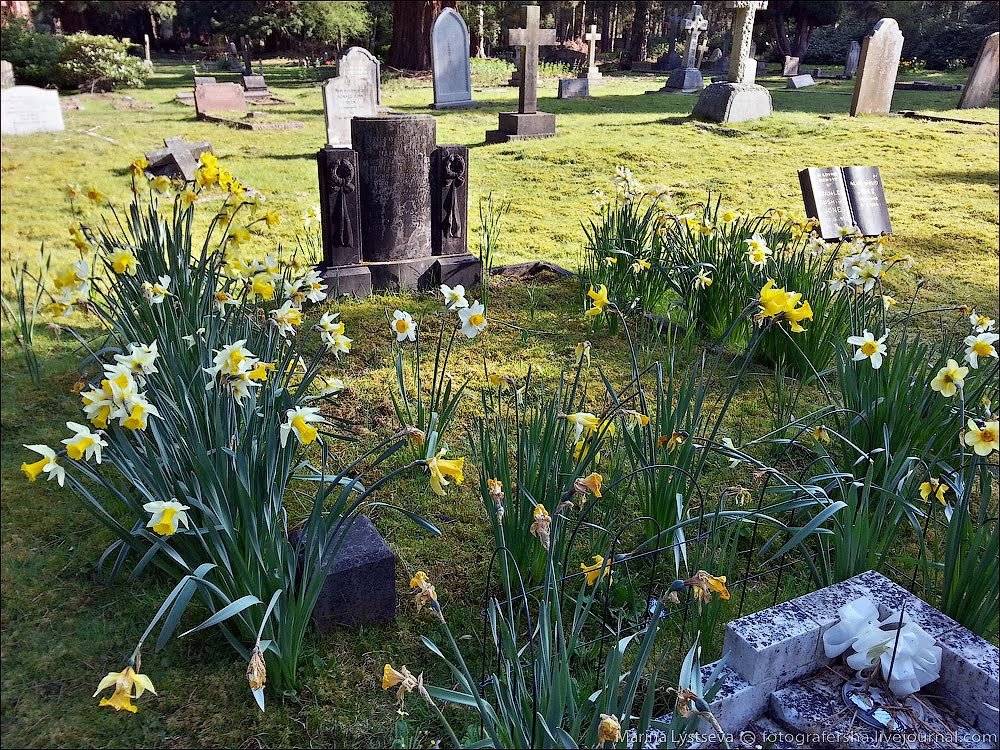 Brookwood cemetery