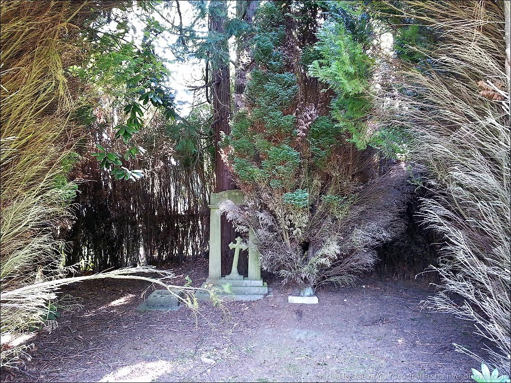 Brookwood cemetery