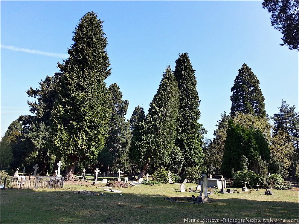 Brookwood cemetery