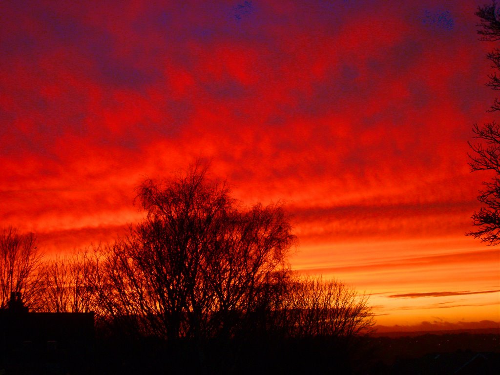 the sun sets on an early spring day