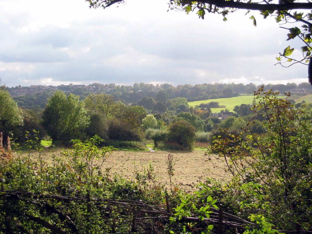 Oakwell Hall Country Park, Birstall, West Yorkshire, GB (MT)